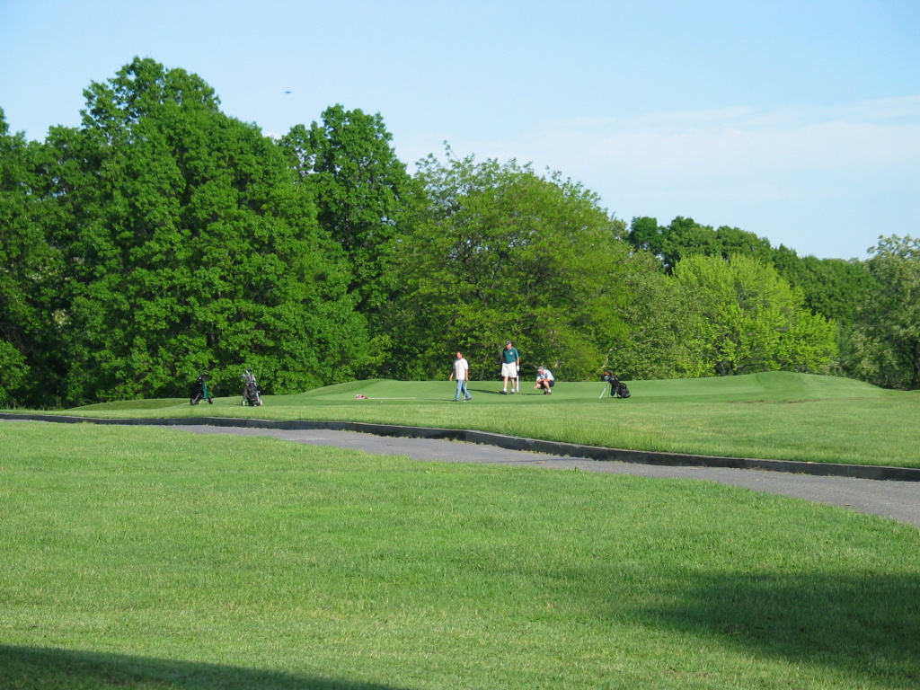 305-0565_IMG.JPG
